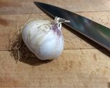 A picture of step 1 of Garlic in the microwave.