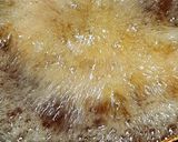 A picture of step 3 of Spicy Chicken Fry.