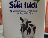 Hình bước làm 2 của món Sinh tố xoài sữa tươi