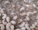 Foto langkah ke 1 dari resep Kacang Mede Goreng.