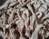 Foto langkah ke 1 dari resep Kripik usus.