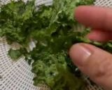 Foto langkah ke 5 dari resep Kale crispy 🥬 (kerupuk hijau).