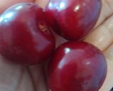عکس مرحله 2 از دستور مارمالاد گیلاس solmaz