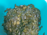 Budín de Verduras ♡