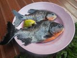 Ikan Bawal Bakar Belimbing Wuluh
