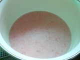 Agar Mawar