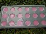 Agar Mawar