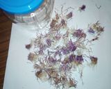 Foto del paso 4 de la receta: Cuajo vegetal
