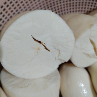 Langkah 1