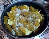 Foto del paso 16 de la receta: Hojas de Parra rellenas de carne picada con menta y cítricos