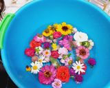 Foto langkah ke 1 dari resep Garden Puding / Puding Edible Flower.