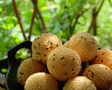 Foto langkah ke 6 dari resep Onde-Onde.