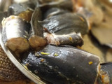 Fish soup