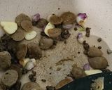 Foto langkah ke 2 dari resep Tumis buncis Baso.