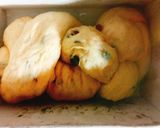 A picture of step 6 of Mixed Fruit Bread.
