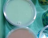 Foto langkah ke 5 dari resep Puding Lumer.