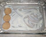 Foto del paso 5 de la receta: ✨Carlota de limón🍋✨