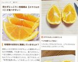 A picture of step 9 of How to Cut Citrus Fruits Like Oranges: Smile Cut.