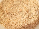 Arroz con leche