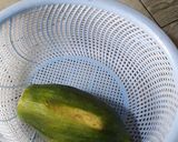 A picture of step 1 of Raw papaya paste.