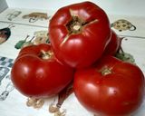 Foto del paso 2 de la receta: Carpaccio de tomate de la huerta de Zaragoza