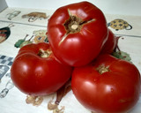 Foto del paso 2 de la receta: Carpaccio de tomate de la huerta de Zaragoza