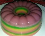 Foto langkah ke 3 dari resep Puding Lapis Pelangi.
