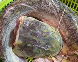 Hình bước làm 1 của món Canh chua đầu cá nheo nấu măng