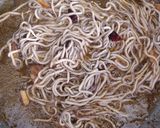 Foto del paso 5 de la receta: Spaghetti con gambas y gulas