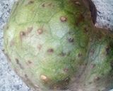Foto del paso 3 de la receta: Jugo Especial de guanábana