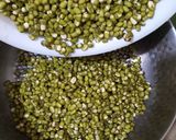 Foto langkah ke 1 dari resep Bubur Kacang Hijau🫛.