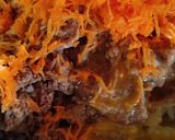A picture of step 1 of Vegetable and Beef Burger Patties.
