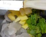 Ice apple cooler recipe step 1 photo