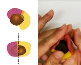 A picture of step 5 of Nerikiri Wagashi: "Momiji" (Red Maple leaves).