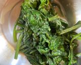 A picture of step 2 of Gnudi.