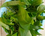 Foto langkah ke 1 dari resep 41. Tumis Kangkung Udang.
