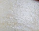 Foto del paso 2 de la receta: Tarta Tatin Sin Tacc, Sin Gluten