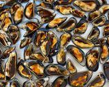 Foto langkah ke 3 dari resep Kerang bakar kecap.