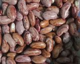 Foto langkah ke 1 dari resep Kacang Merah Susu Milo.