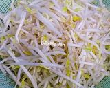 Hình bước làm 1 của món Mì xào tôm rau củ và nấm đùi gà