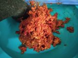 Ayam Ngamprak ala-ala