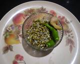 Sprouted moong paratha recipe step 1 photo