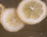 Bodzaszörp recept fázis 1 fotója
