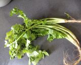 A picture of step 1 of Radish Soup.