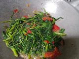 Kangkung Balacan