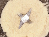 Harina de coco