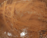 Foto del paso 5 de la receta: Espaguetis con gambas al ajillo