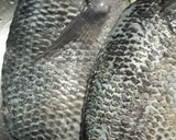 Foto langkah ke 1 dari resep Pepes ikan nila.