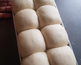 Foto langkah ke 7 dari resep 283. Roti Metode Sponge and Dough (versi tanpa telur--manual).