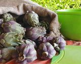 Foto del passaggio 1 della ricetta Carciofini sott’olio